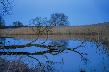 Landscapes along the Oder River in Poland - obrazy, fototapety, plakaty