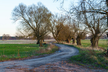 Fototapeta premium Landscapes along the Oder River in Poland