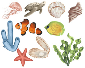 set of sea animals