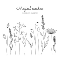Black silhouettes of wild grasses and magical meadow flowers set. Vector illustration of wildflowers, field and wild grass.