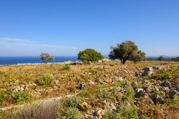 Short vegatation and ruins of the Antimachia Castle on the island of Kos in Greece