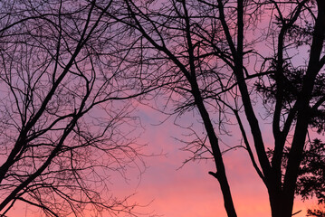 Beautiful Red Sunset In A Late November Sky In Wisconsin