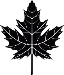 Maple leaf logo. Isolated maple leaf on white background