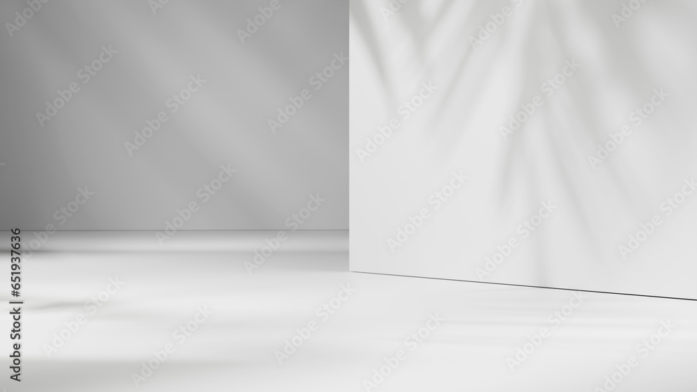 Poster Empty gray and white blank studio room abstract background, empty stage, empty white background for advertisement design and product placement, room with shadows and light