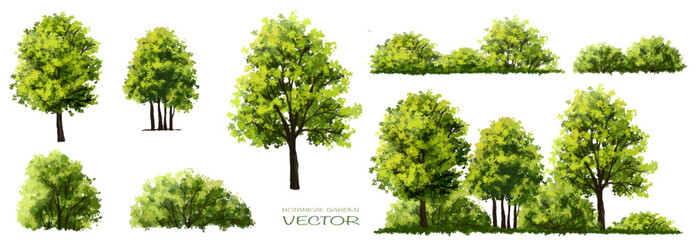 Vector of green grass or shrub isolated on white background,tree elevation for landscape concept,environment panorama scene,eco design,watercolor meadow for spring - obrazy, fototapety, plakaty