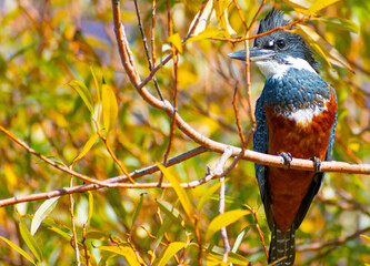 Martina pescadora en Centinela!!!