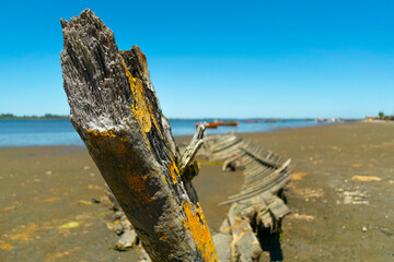 Barca en La Pasada!!!