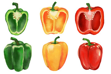 peppers red green yellow Chili Bell peppers