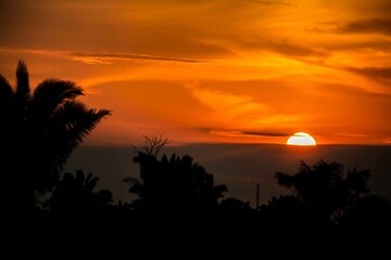 Obraz premium Porto velho Rondônia brasil floresta amazônica 