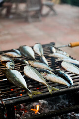 Fresh fish sadrines on a grill, summertime backyard dinner concept
