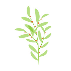 Green branch of a plant. Tender plant with red berries. Field plant drawn in a minimalist style. Vector illustration.
