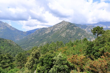 Naklejka premium landscape around the Monte d'Oro Massif in Corsica, France