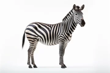 Foto op Aluminium zebra isolated on white © Mynn Shariff
