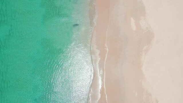 Top view of a tropical transparent peaceful sea and white sandy beach.