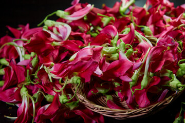 Heap of red vegetable humming bird flower