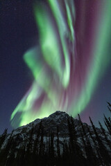 The aurora borealis or northern lights over the mountains of the central Brooks Range, Alaska, USA.