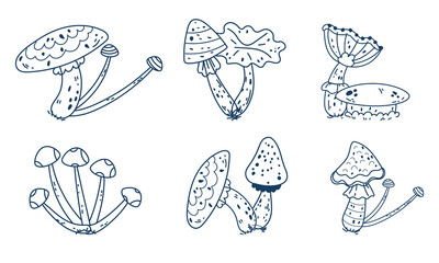 Mushroom witchy celestial magic outline moon forest boho mystical isolated set. Vector graphic design illustration