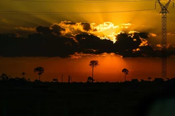 Gardinen Por do sol e nascer do sol em Proto velho Rondonia Brasil Amazonia Brasileira  © Diego