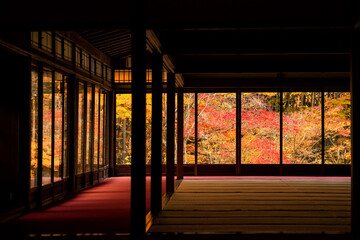 Colorful autumn leaf from Tenju-an building window, Kyoto - obrazy, fototapety, plakaty