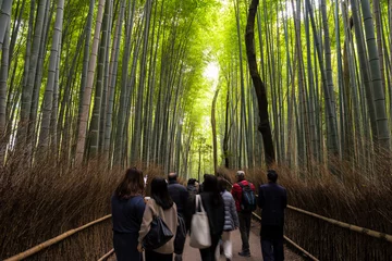 Foto auf Glas tourist people walking along bamboo forest grove, Arashiyama © Blanscape
