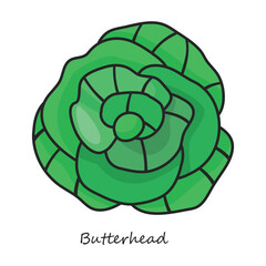 Butterhea vector icon. Color vector icon isolated on white background butterhea .
