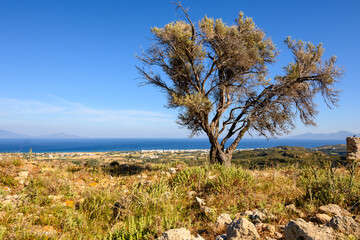 Fototapeta na wymiar Sea view seen from the Antimachia Castle on the island of Kos in Greece
