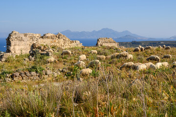 Fototapeta na wymiar Ruins of the Antimachia Castle on the island of Kos in Greece
