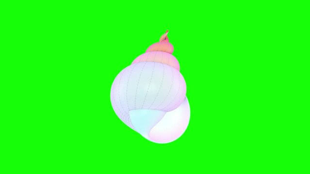 A seashell spins on a green screen. 3D animation.