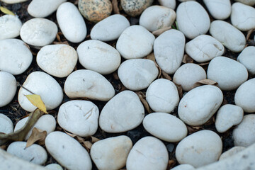 pile of white pebbles, natural garden decoration