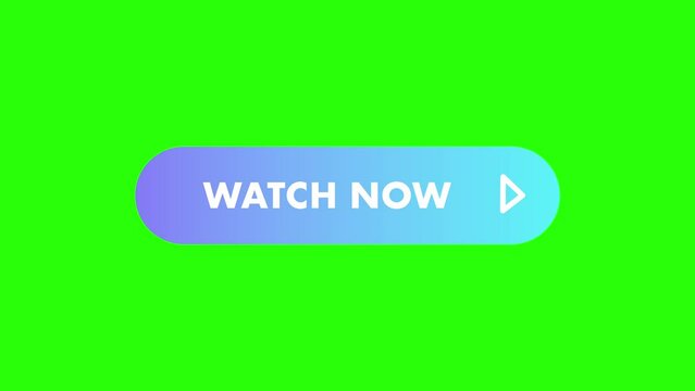4 watch now button animations in different colors. Colorful round button with watch now text. Isolated element or symbol on green screen background.