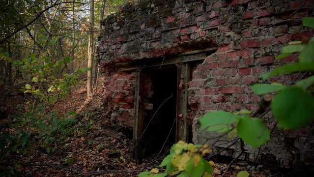 The entrance to the bunker of the Second World War. in the middle of the forest