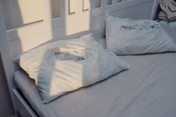 Torn old white pillow on the bed in the bedroom