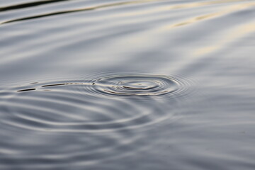 water ripples on the water
