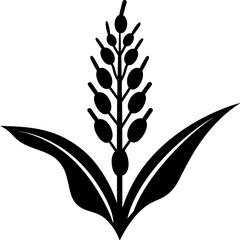 Sorghum icon