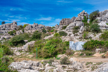 Karst landscape of Torcal de Antequera in Andalusia. Large valley with Mediterranean vegetation surrounded by vertical limestone rock walls