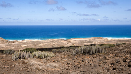 Landscape at Fuerteventura island in Spain in summertime