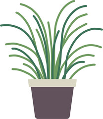 houseplant drawing illustration