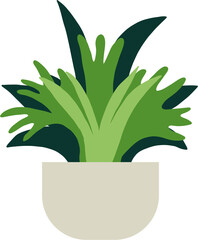 houseplant drawing illustration