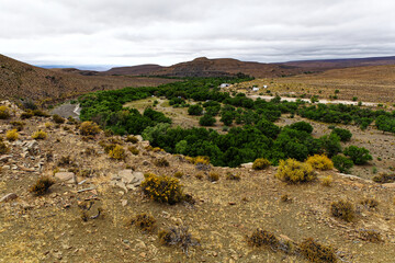 Green vegetation growing in a river bed on a farm near Sutherland, Western Cape, South Africa.