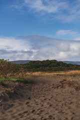 landscape with clouds on chiloe in chile