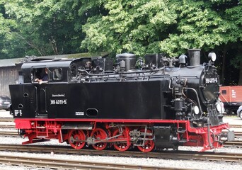 Rügen narrow-gauge railway, also called Rasender Roland (Raging Roland)	