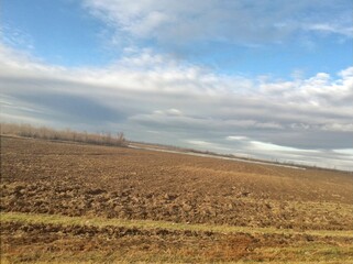 landscape with field and sky