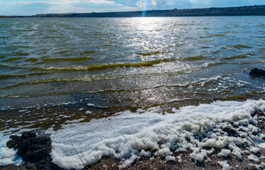 Environmental problem and pollution, eutrophication of a natural reservoir, dirty foam on the shore