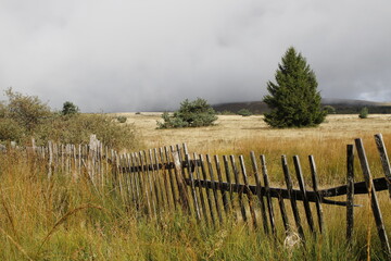 Obraz premium Plateau des Hautes Chaumes