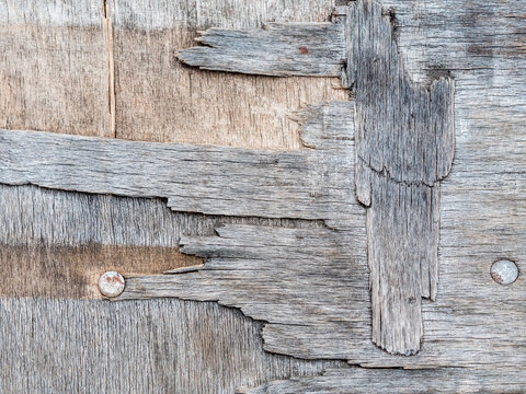 abgesplittertes Holz