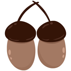 oak nut autumn fruit, acorn vector illustration, simple flat design isolated on white background 