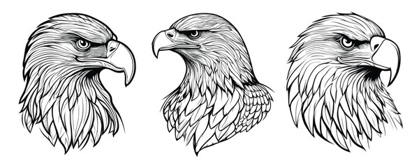 Eagle Head Vector Side View illustration