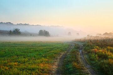 Obraz na płótnie Canvas Picturesque landscape with a dirt road in the countryside. Fog over a meadow with grass and trees. Nature of the forest-steppe in the morning in summer