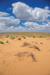 Landscape of a sandy desert on a sunny day.