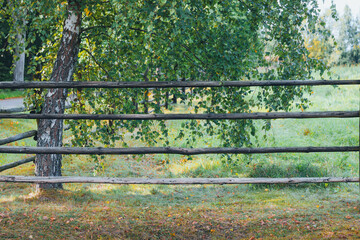 wooden fence with birch leaves 